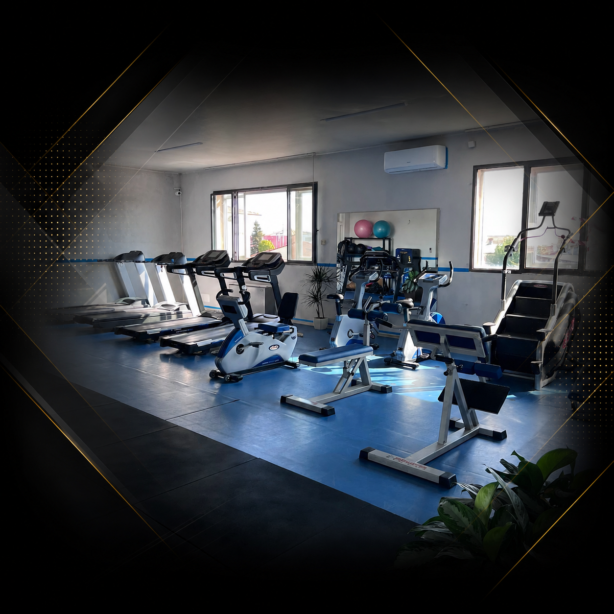 Zona Cardio, Tapis Roulant e Cyclette